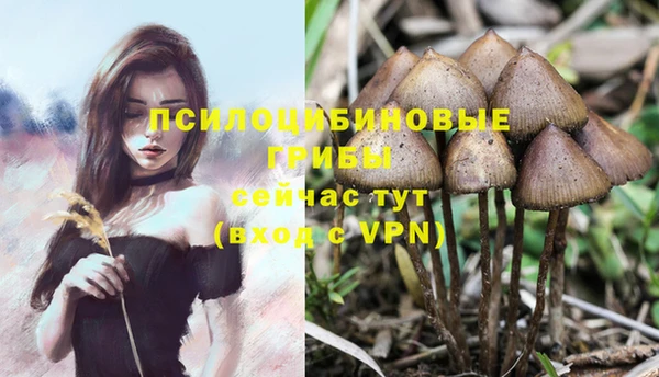 молекула духа Балахна