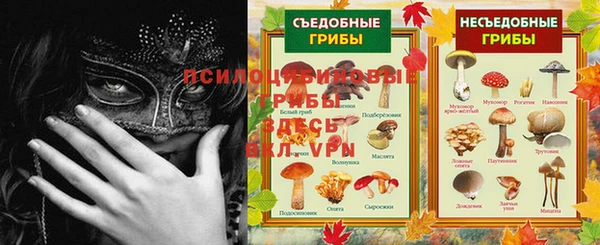 молекула духа Балахна
