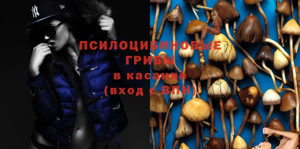 молекула духа Балахна